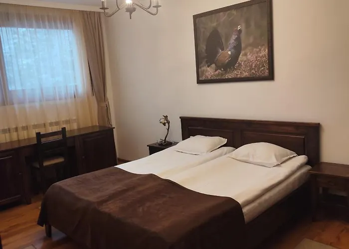 Hotel ловна резиденция длс извора Devin