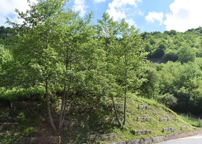 Hotel ловна резиденция длс извора Devin